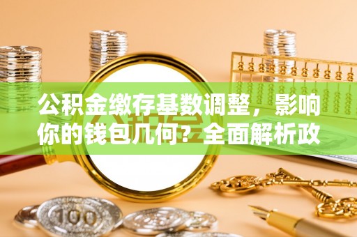 宁远公积金缴存基数调整，影响你的钱包几何？全面解析政策与实际收益