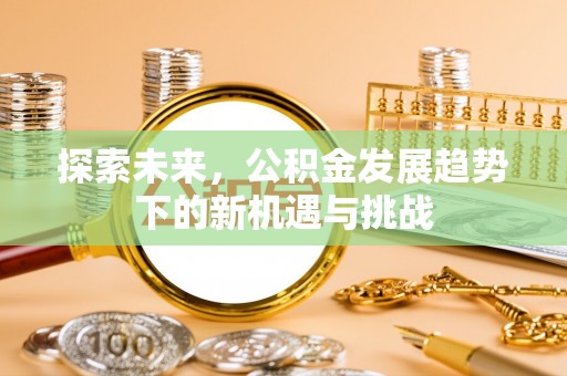 宁远探索未来，公积金发展趋势下的新机遇与挑战