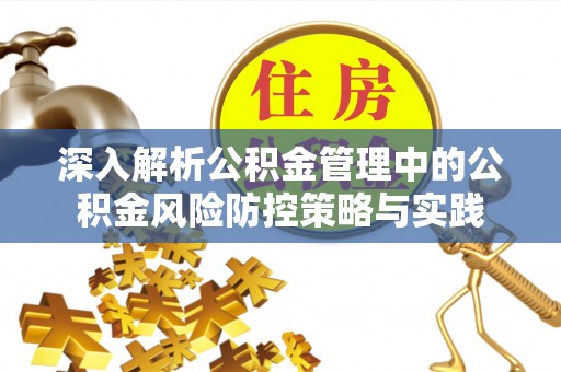 宁远深入解析公积金管理中的公积金风险防控策略与实践