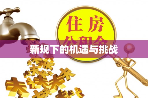 宁远新规下的机遇与挑战