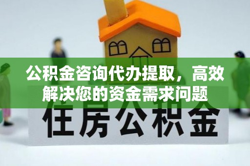 宁远公积金咨询代办提取，高效解决您的资金需求问题