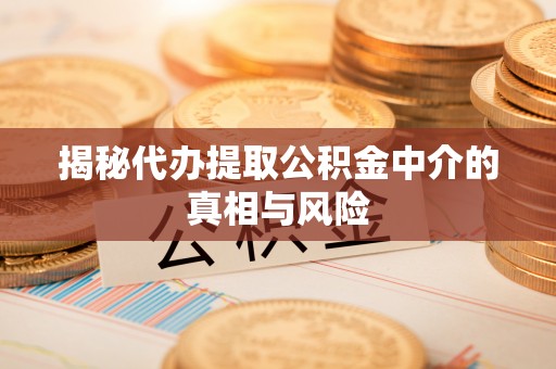 宁远揭秘代办提取公积金中介的真相与风险