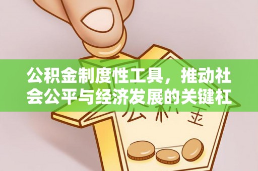 宁远公积金制度性工具，推动社会公平与经济发展的关键杠杆